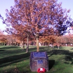 Dunedin memorial and tree National Arboretum