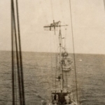 The fleet entering Sydney harbour 1929